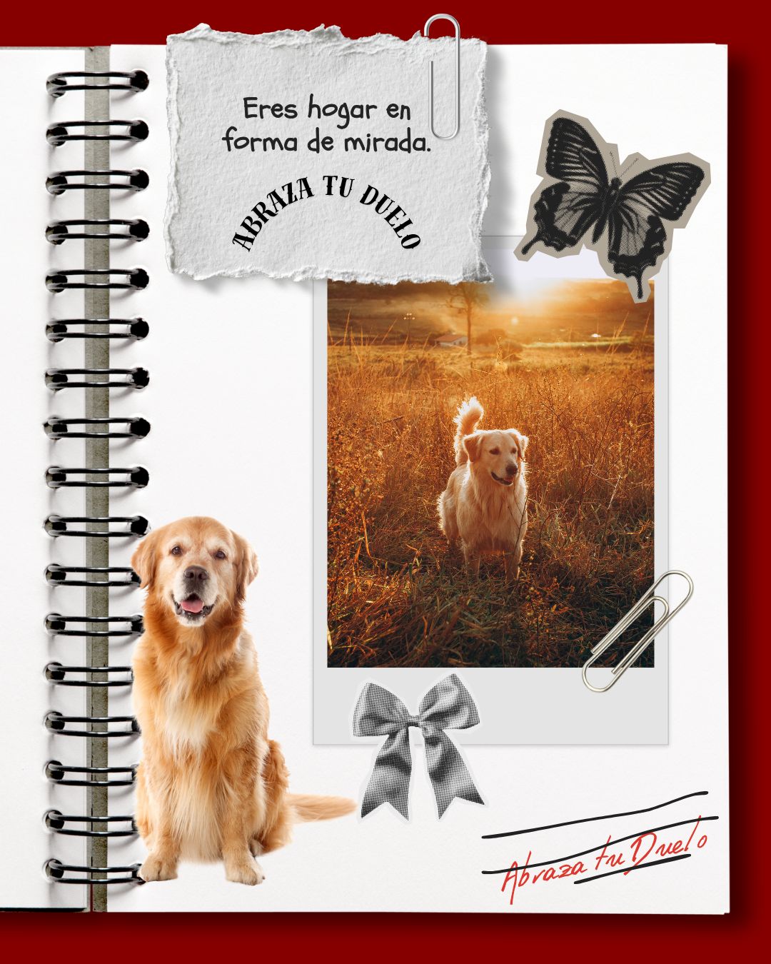 Grecia Lau Campbell-4