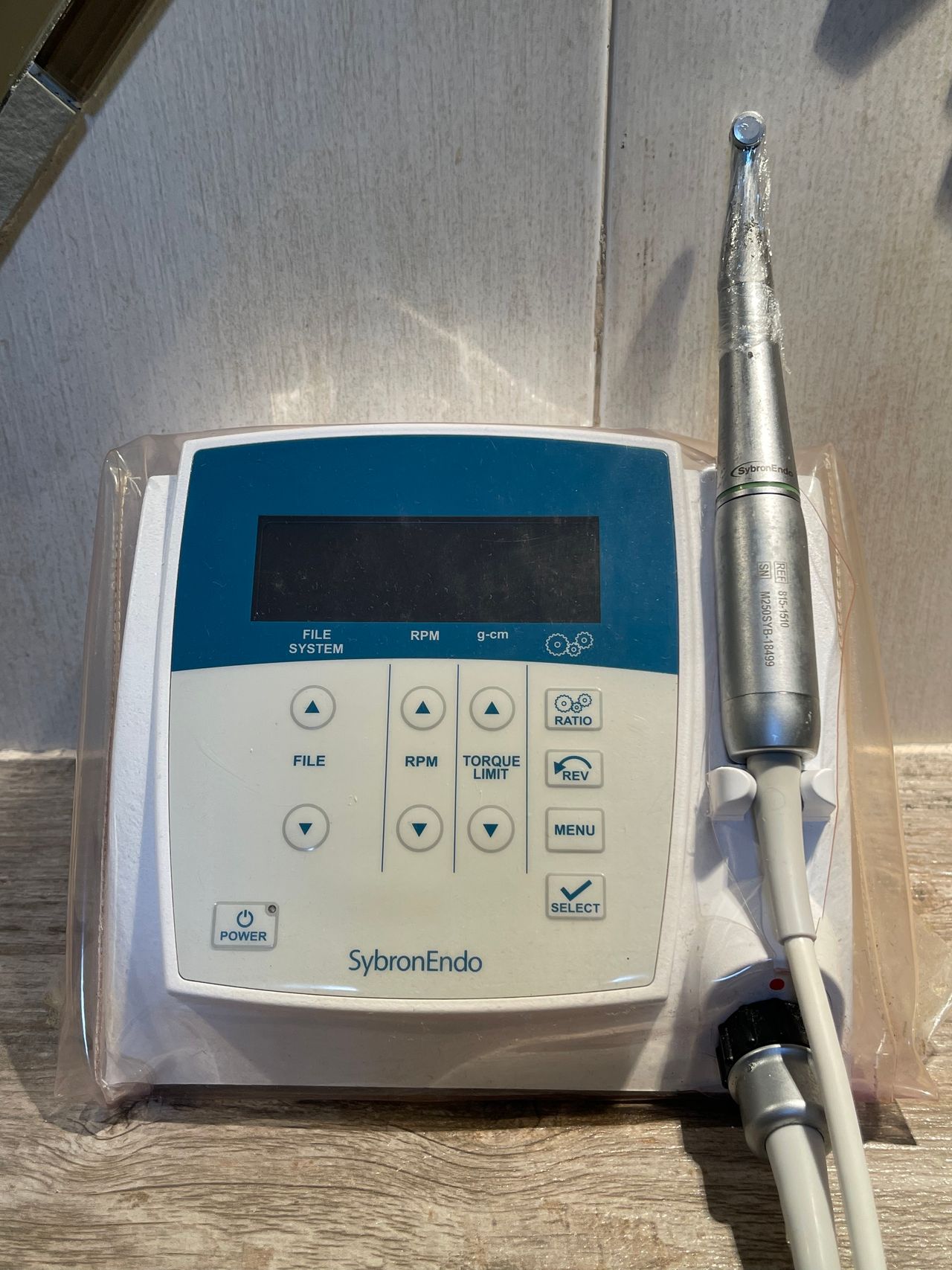 Andrea Arely Montaño Pérez-4