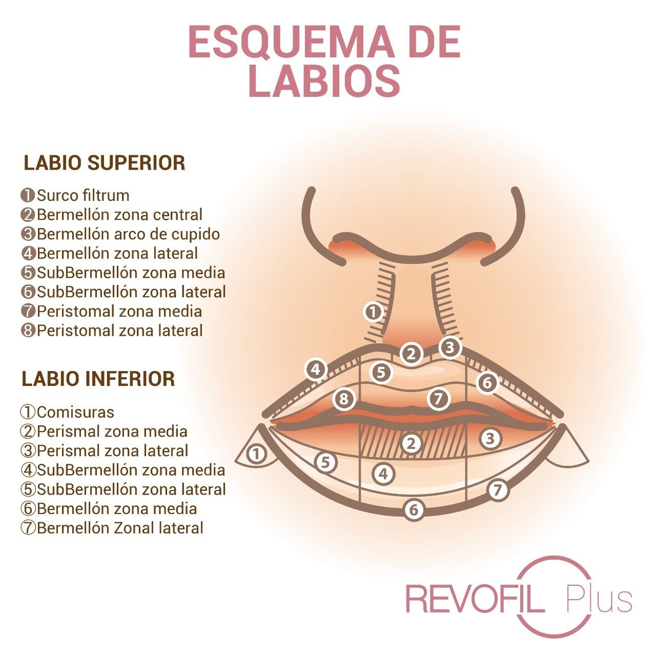 Francisco Hernández Gómez Crespo-114