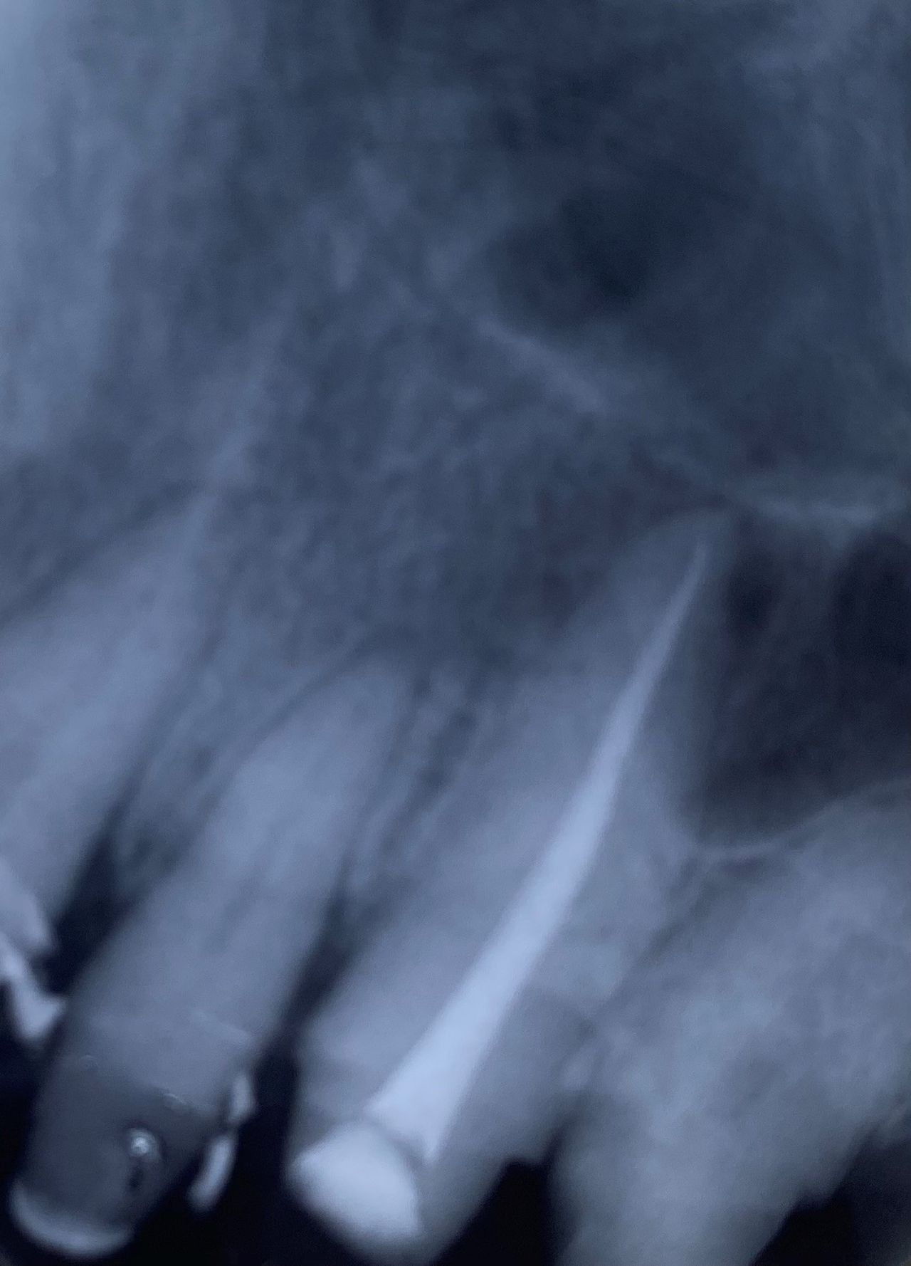 Norma Alicia Cienfuegos Reyes-1