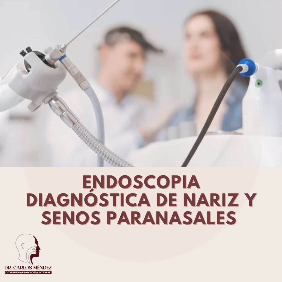 Juan Carlos Mendez Gutierrez-24