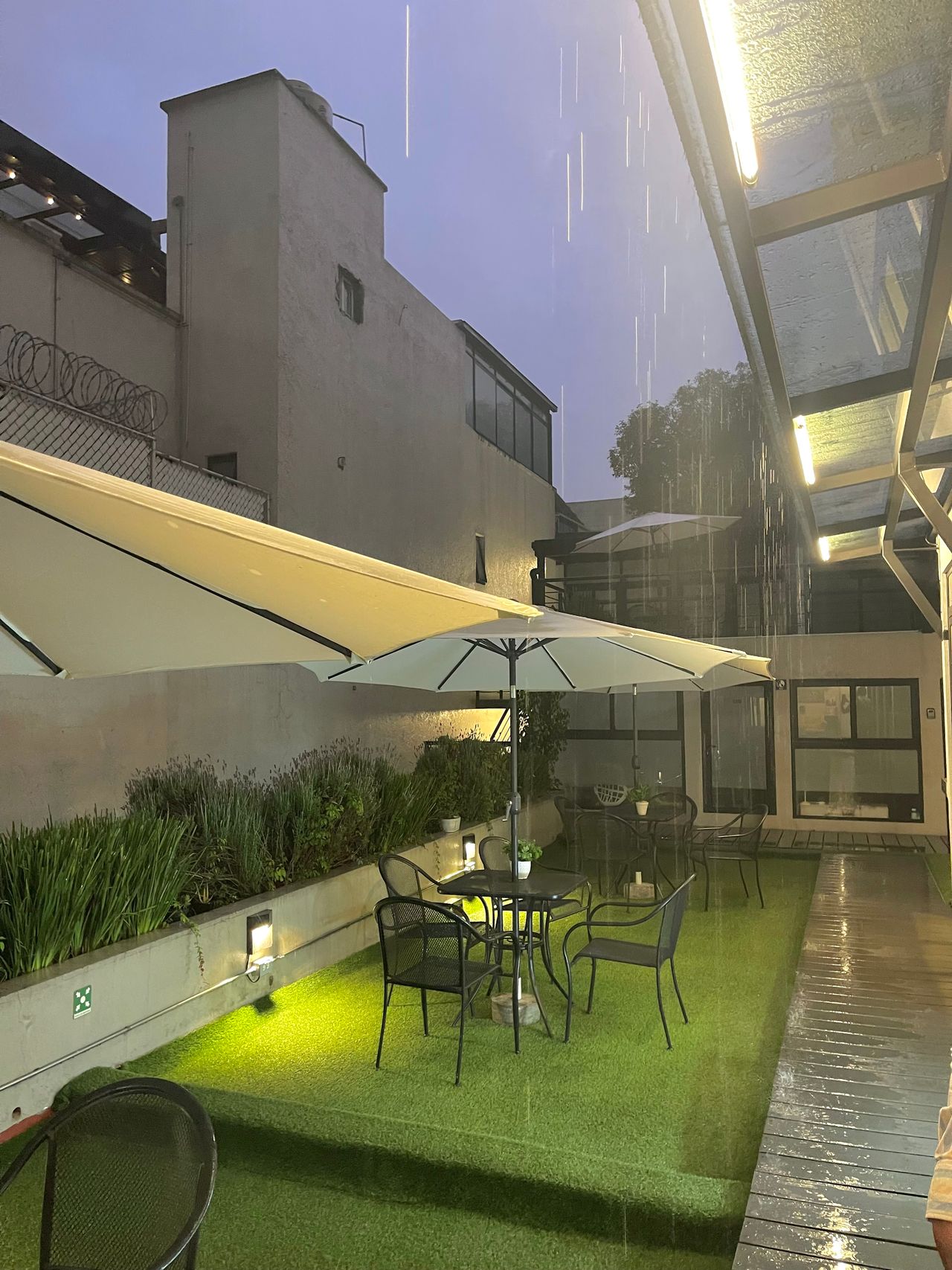 Paola Acevedo Quezada-9