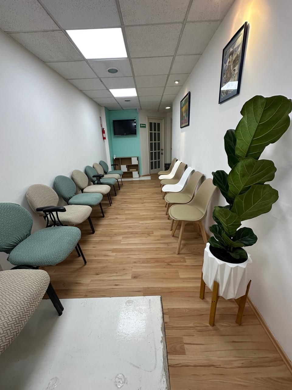 Luz Elena Mejía Carmona-3