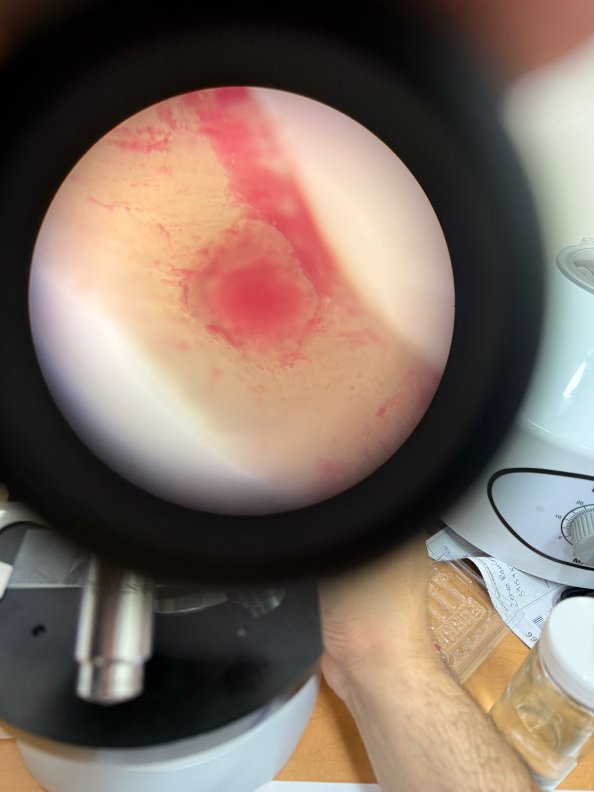 Alfredo Feria Ramírez-1