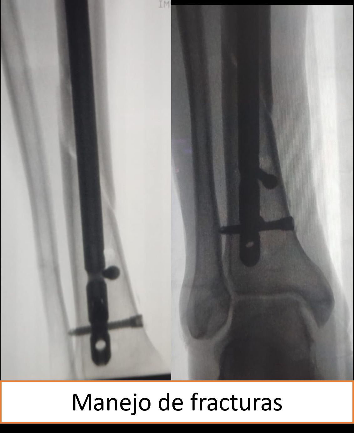 Iván Quijas Aldana-1