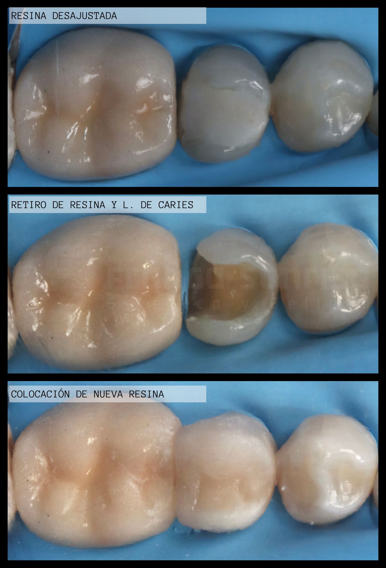 Maira Alejandra Franco Rodríguez-10