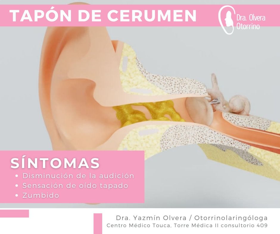 Ma. Yazmín Olvera Suárez-12