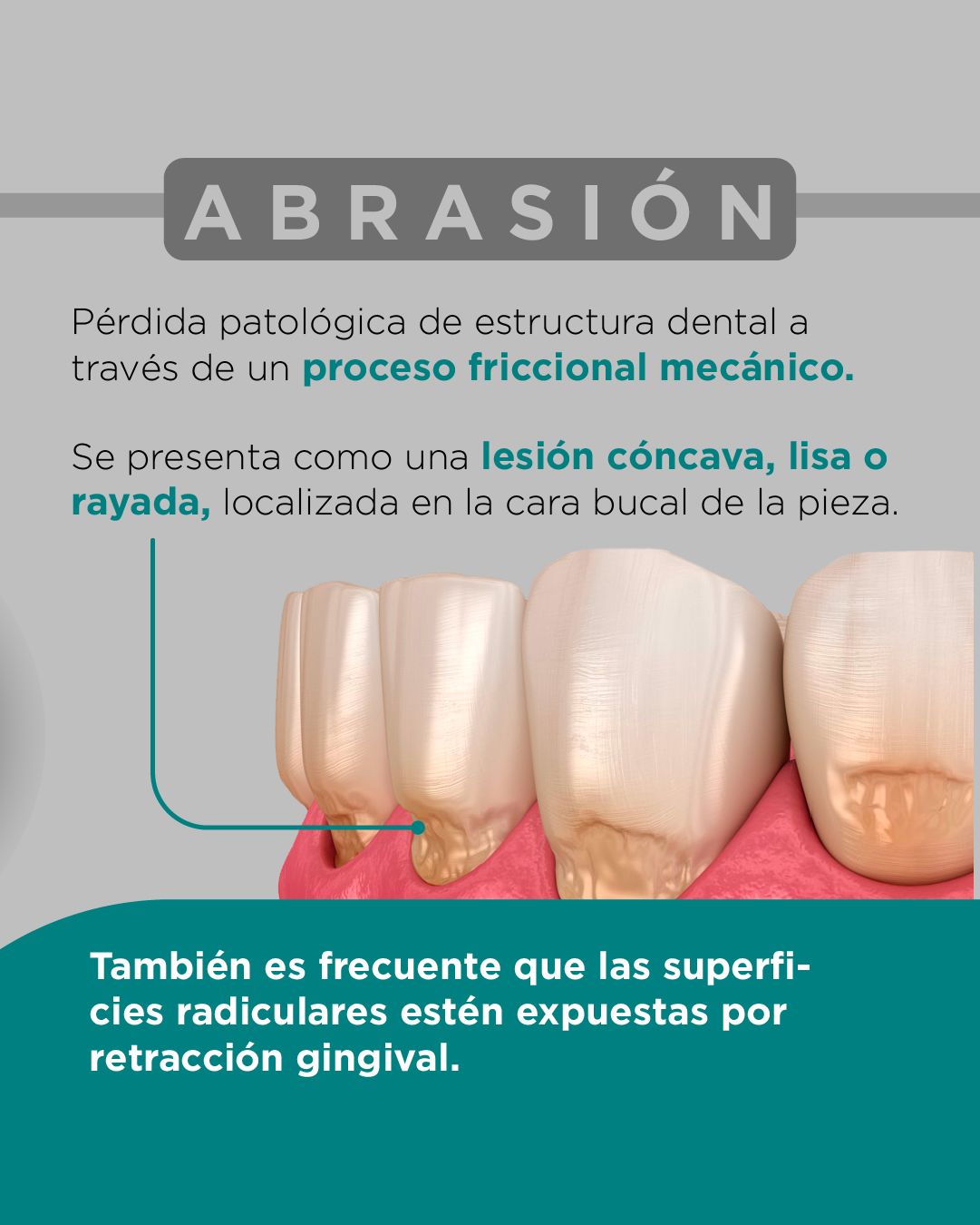 Diana De La Torre Priego-8