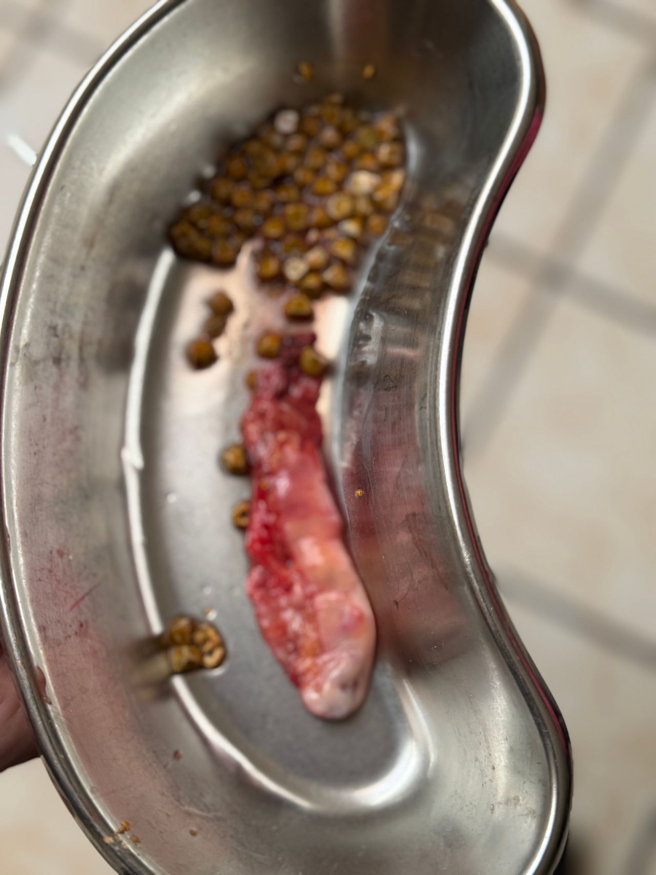 Gerardo Barrera Torres-6