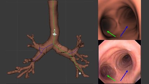 Mónica Fuentes Farías-1