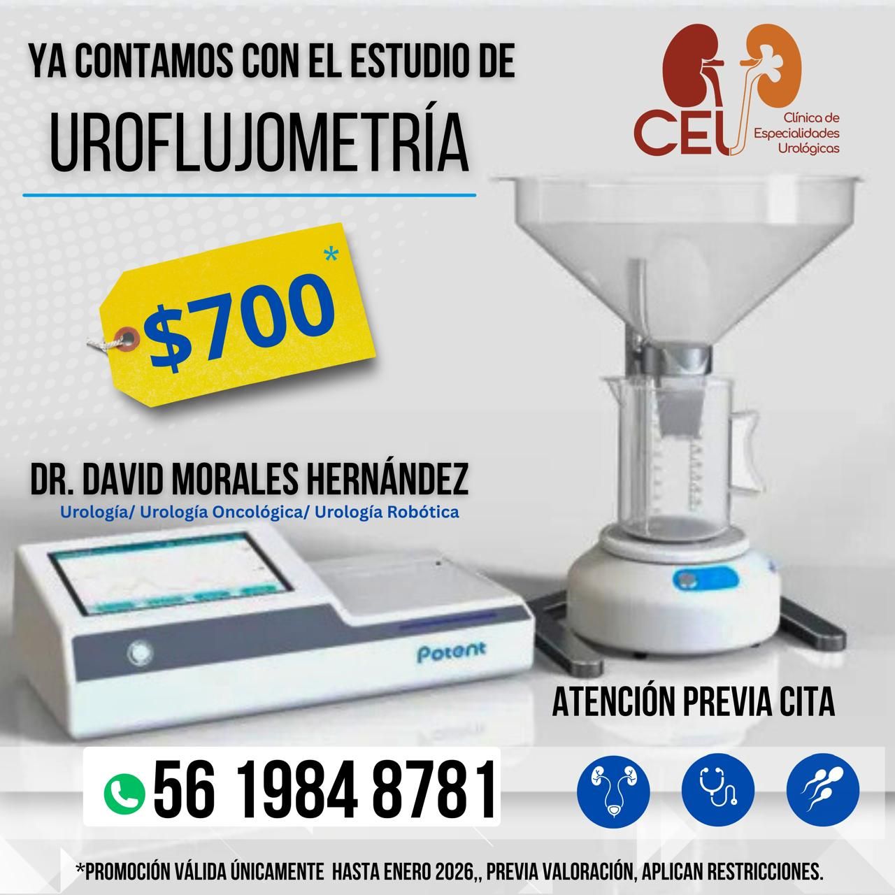 David Morales Hernández-10