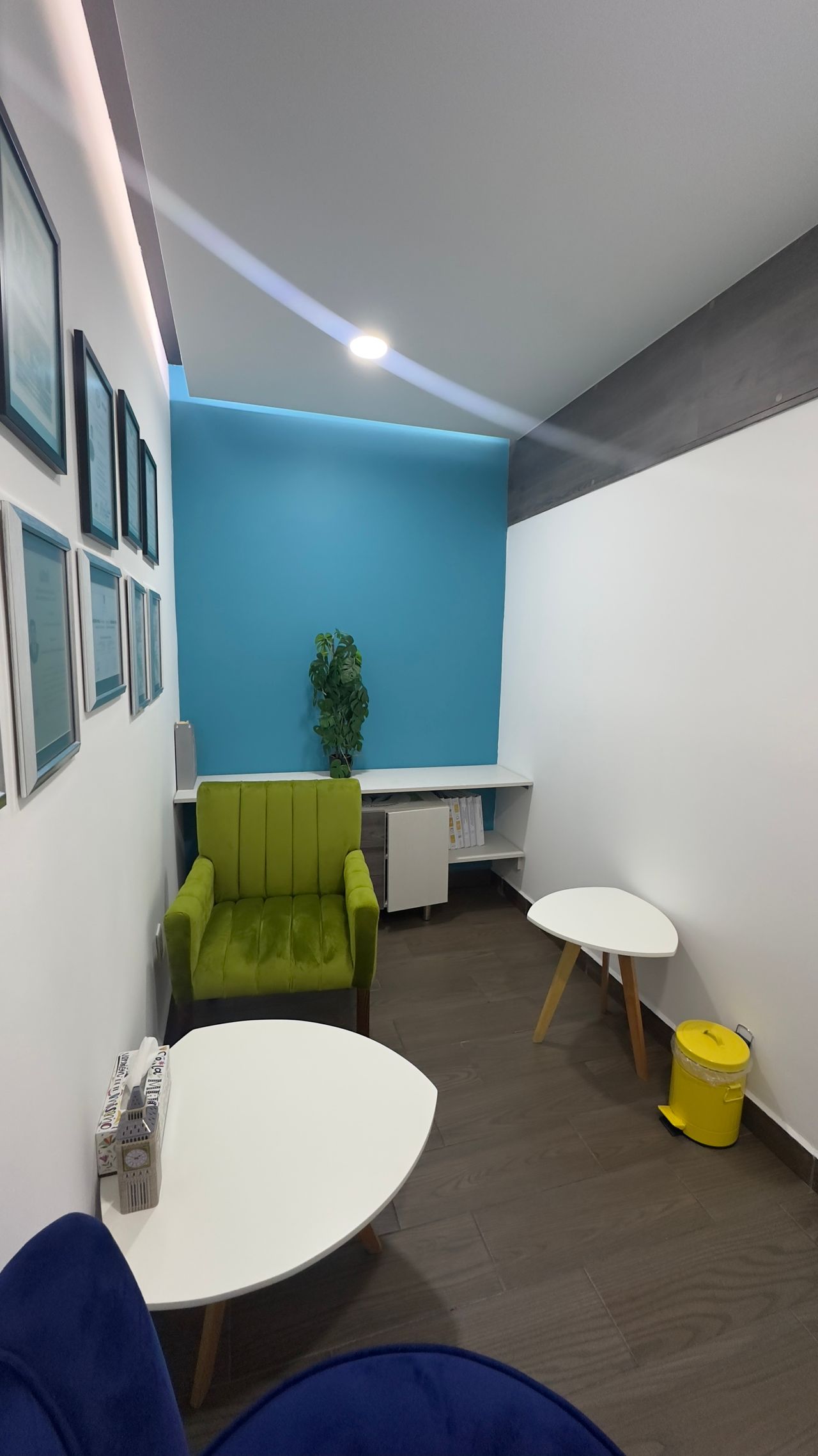 Victor Barrera Tecolapa-2