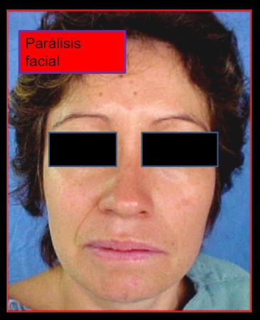 Diana Araceli Dávila Hernández-29