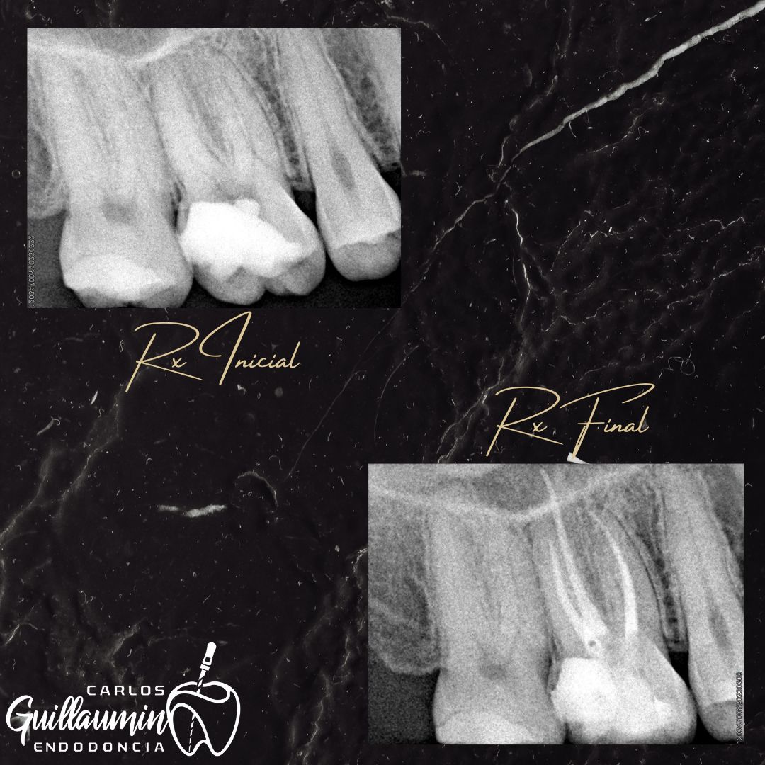 Carlos Gilberto Guillaumin Esparza-4
