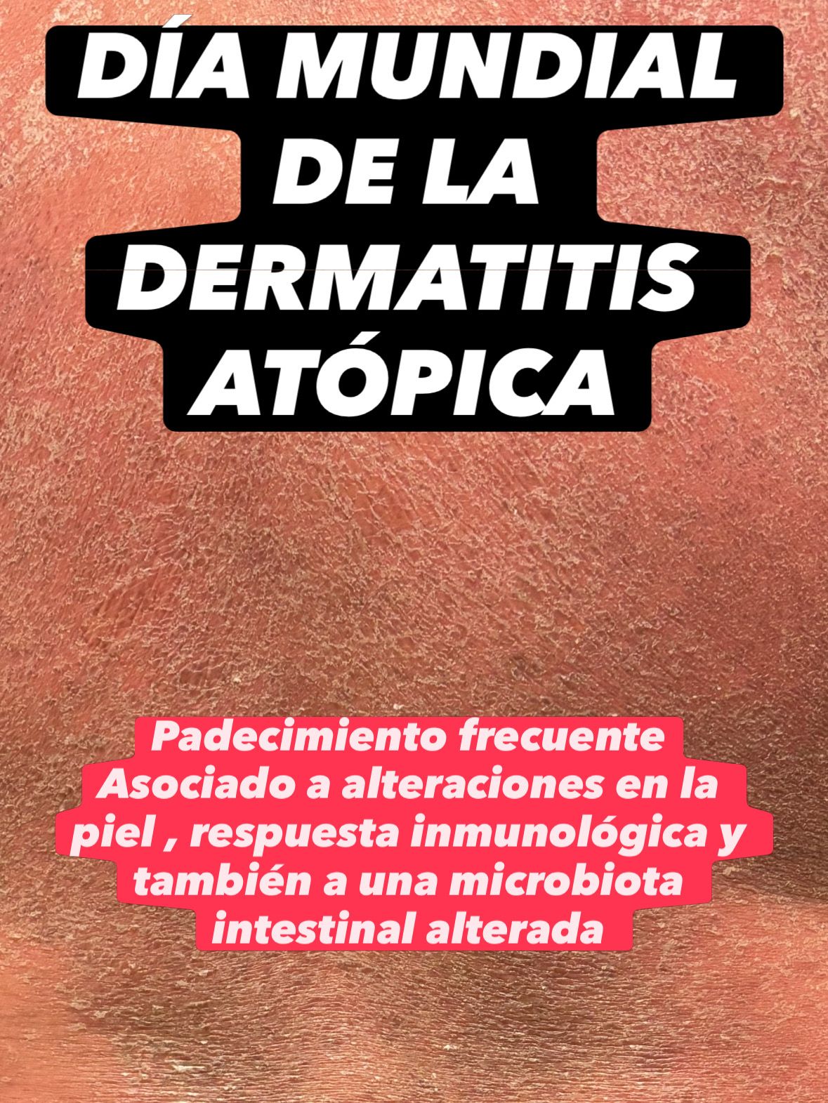 Patricia Alfaro Ledesma-13