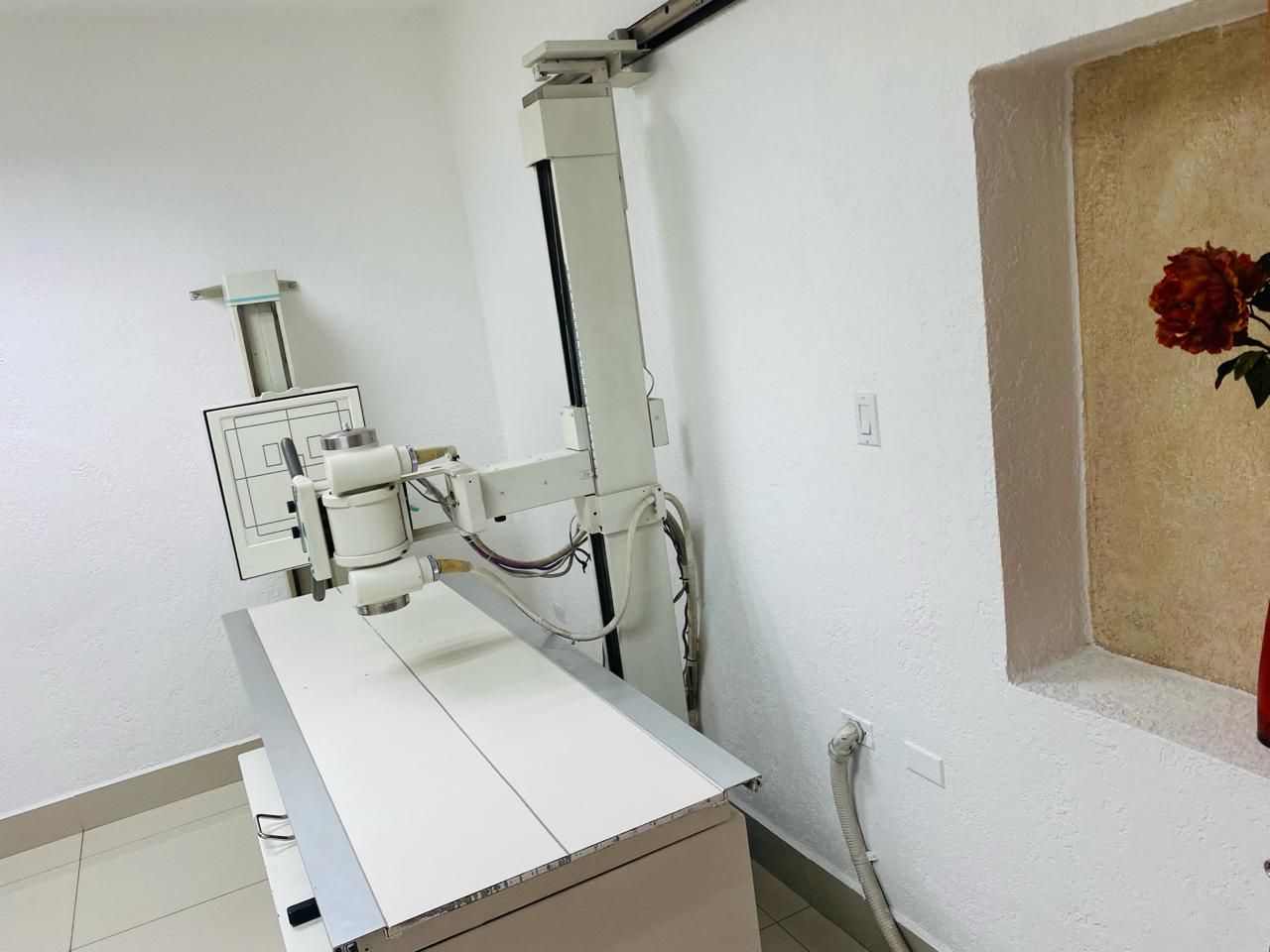 Manuel Gutiérrez Moreno-3