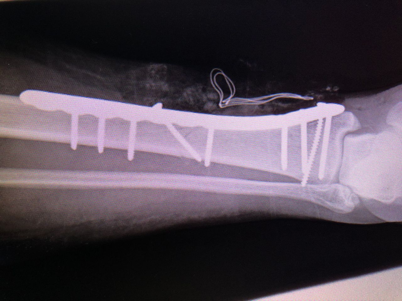 Alejandro Álvarez Colín-7