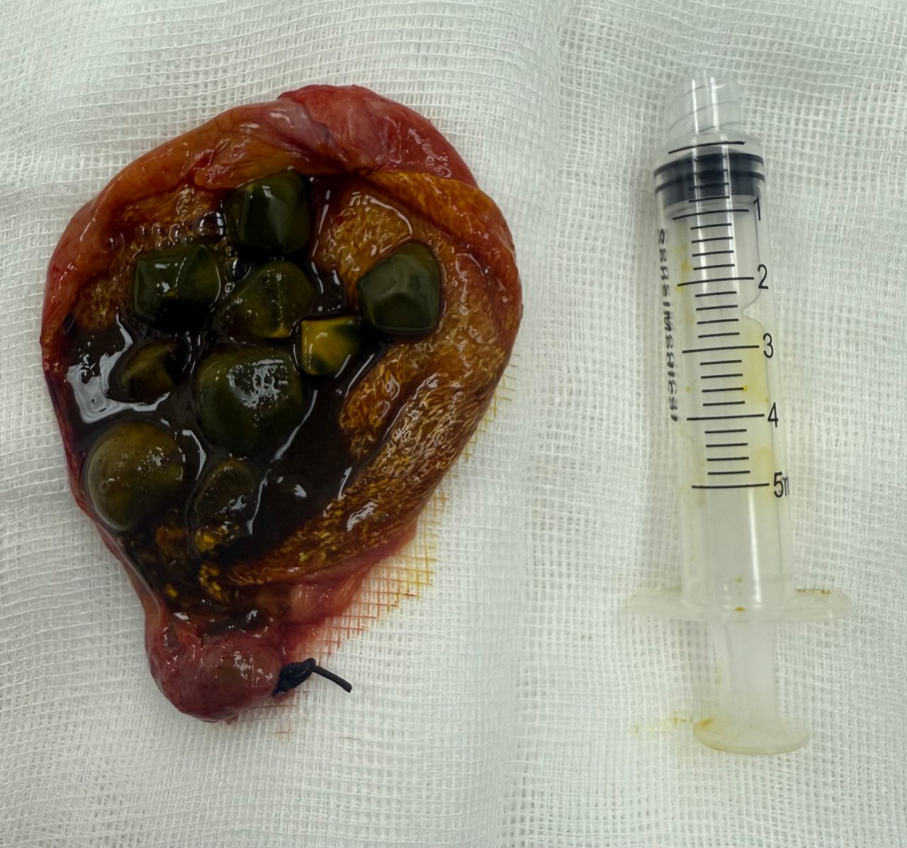 Arturo  Del Campo García -4