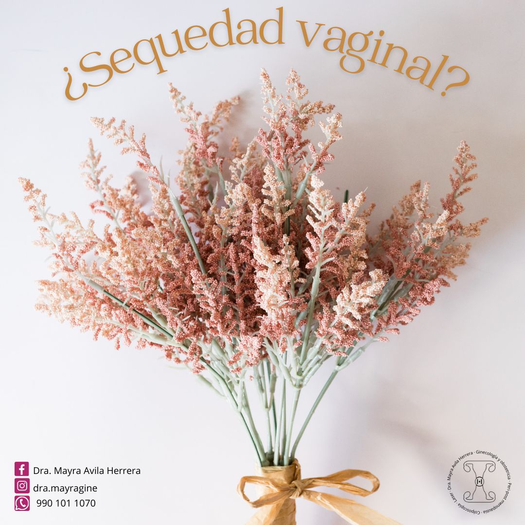 Mayra Avila Herrera-1