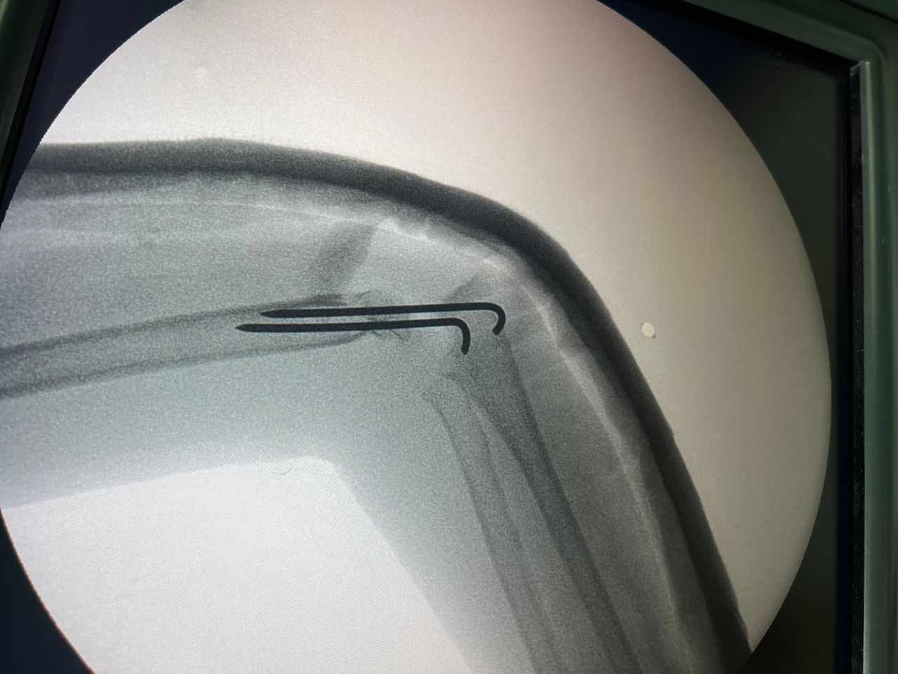 Cynthia Julieta Alvarez Rodríguez-8