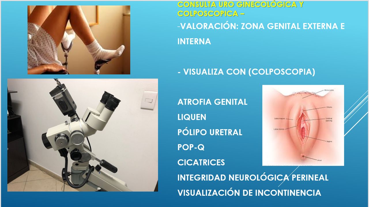 Jaime Cevallos Bustillos-2