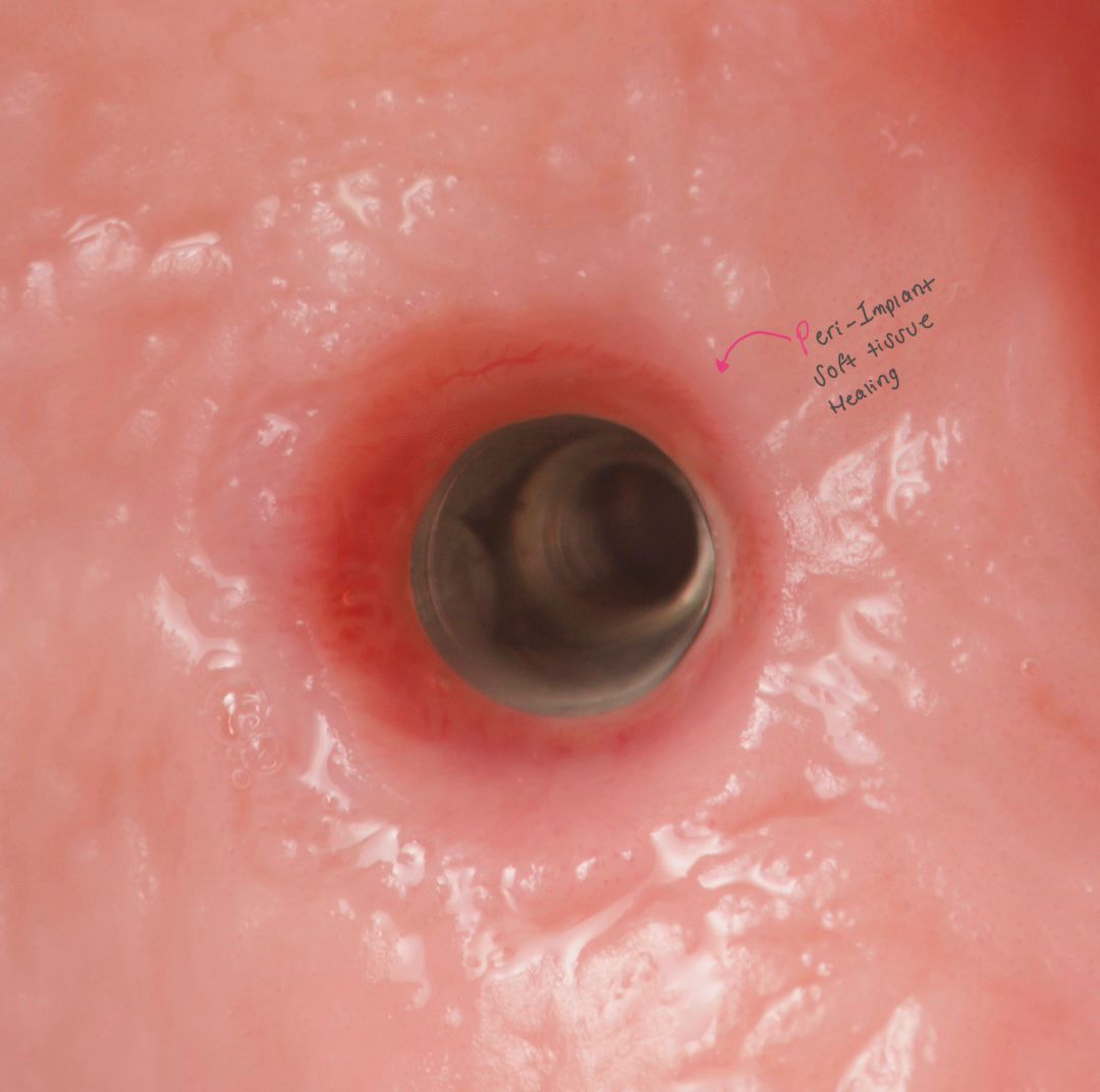 Daniela Méndez Marrón-20