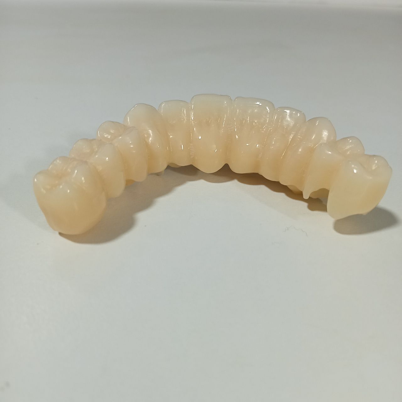 Jose David Torres Hernandez-8