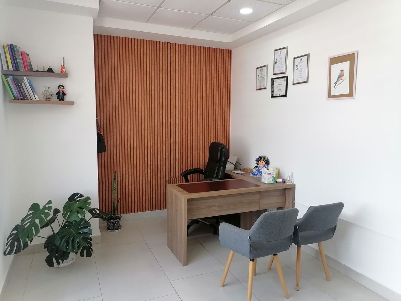 Denisse Viridiana Aceves Sánchez-1