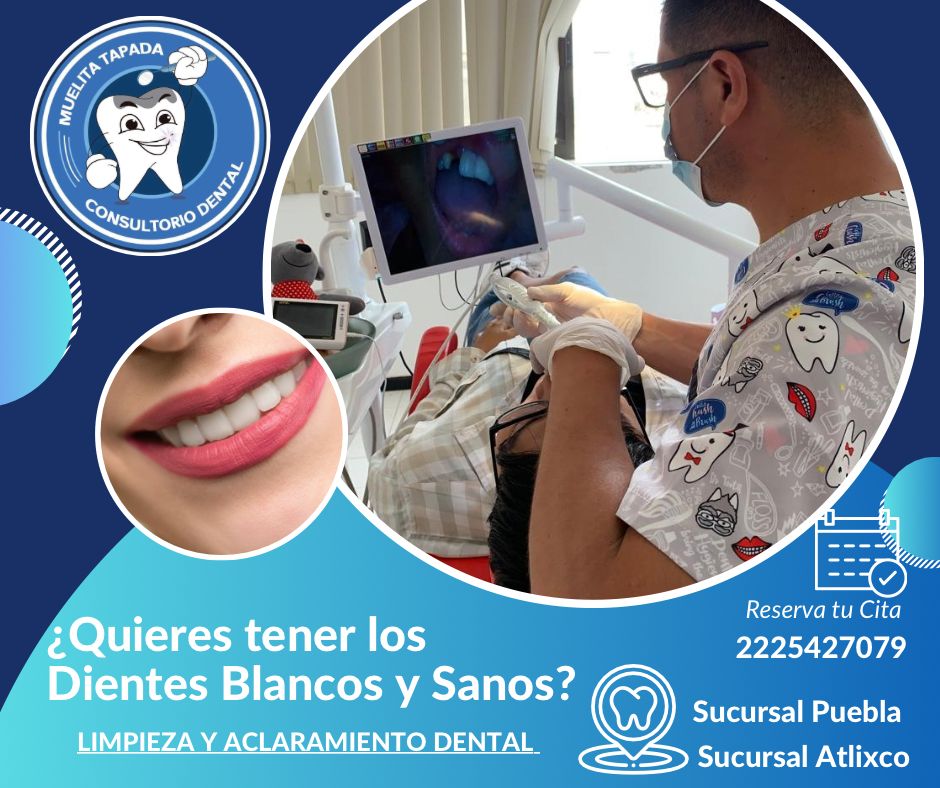 Luis Alberto Ortega  Contreras-34