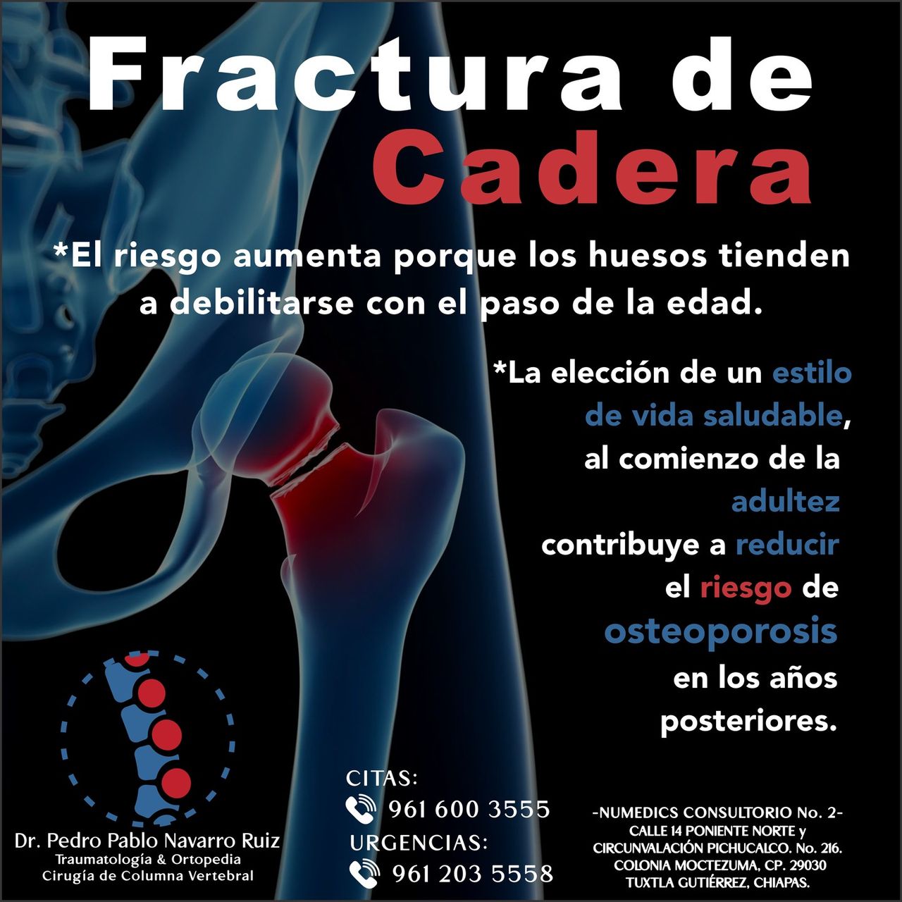 Pedro Pablo Navarro Ruiz-8