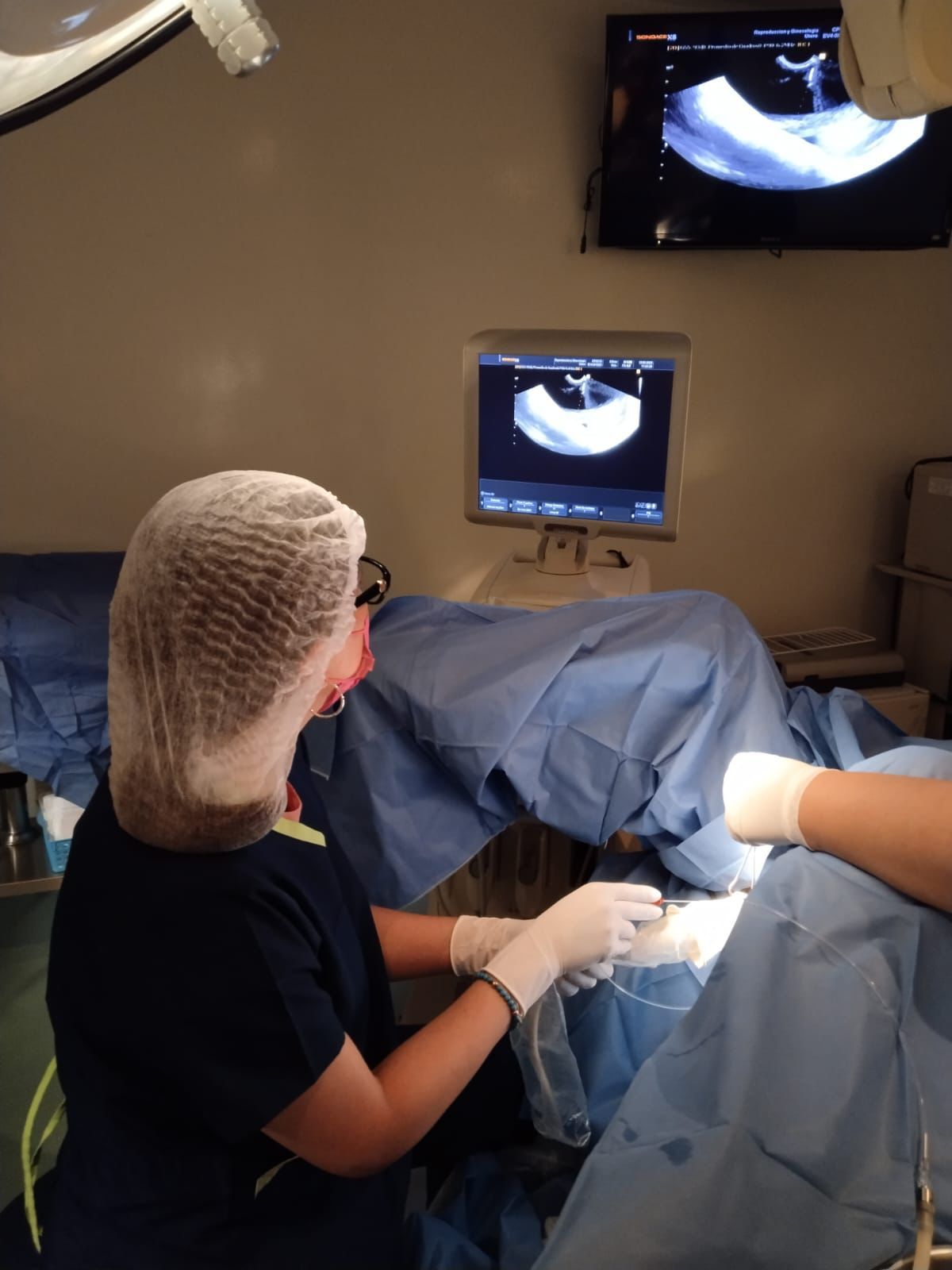 Brenda Yareli Ramirez Eugenio-2