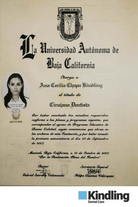 Ana Cecilia Chapa Kindling-37