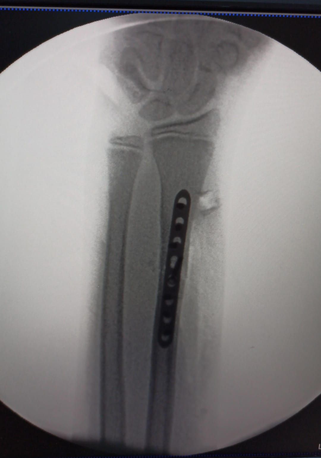 Cynthia Julieta Alvarez Rodríguez-6