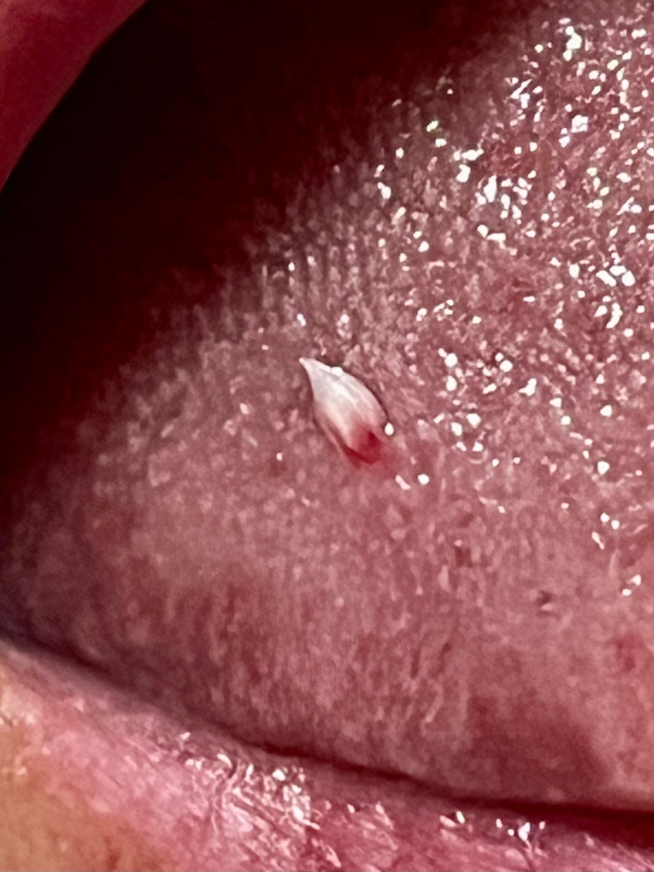 Rogelio Hernández García-36