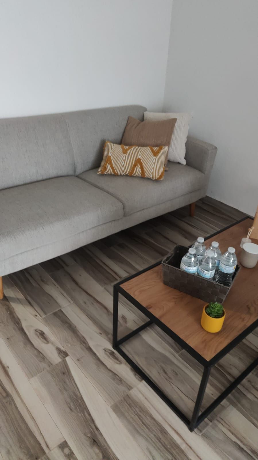 Daniela Vidal Noriega-2