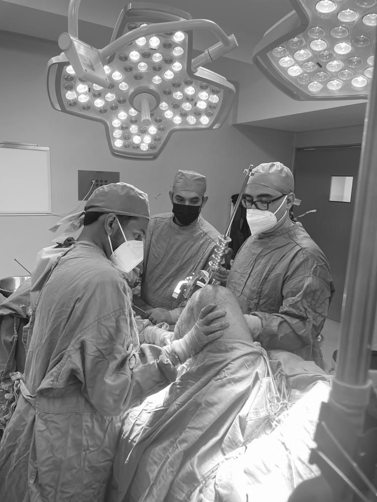 Felix Alfaro Arias-34