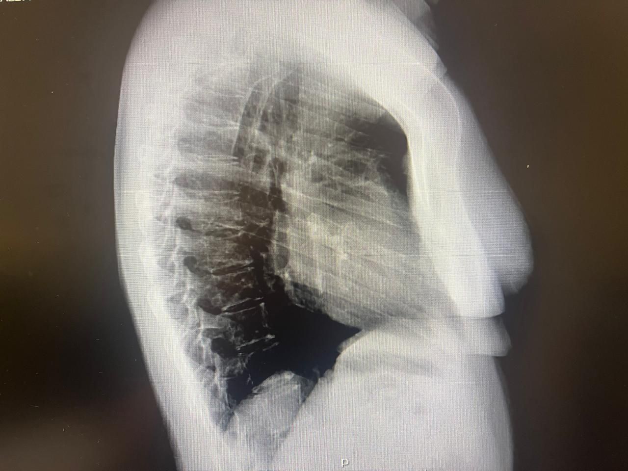 Alba Melina Ascañio Flores-7