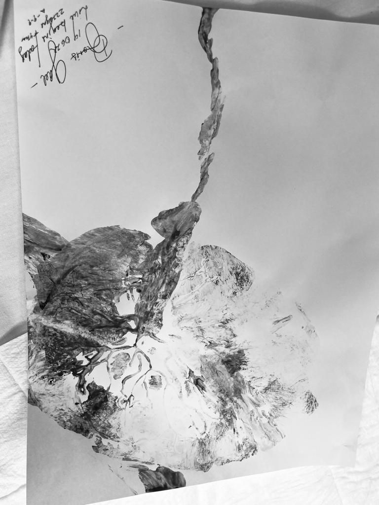 Luis Miguel Campos Olmedo-17