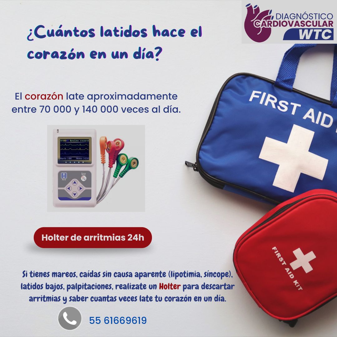 Luis Guillermo Burelo Lopez-11