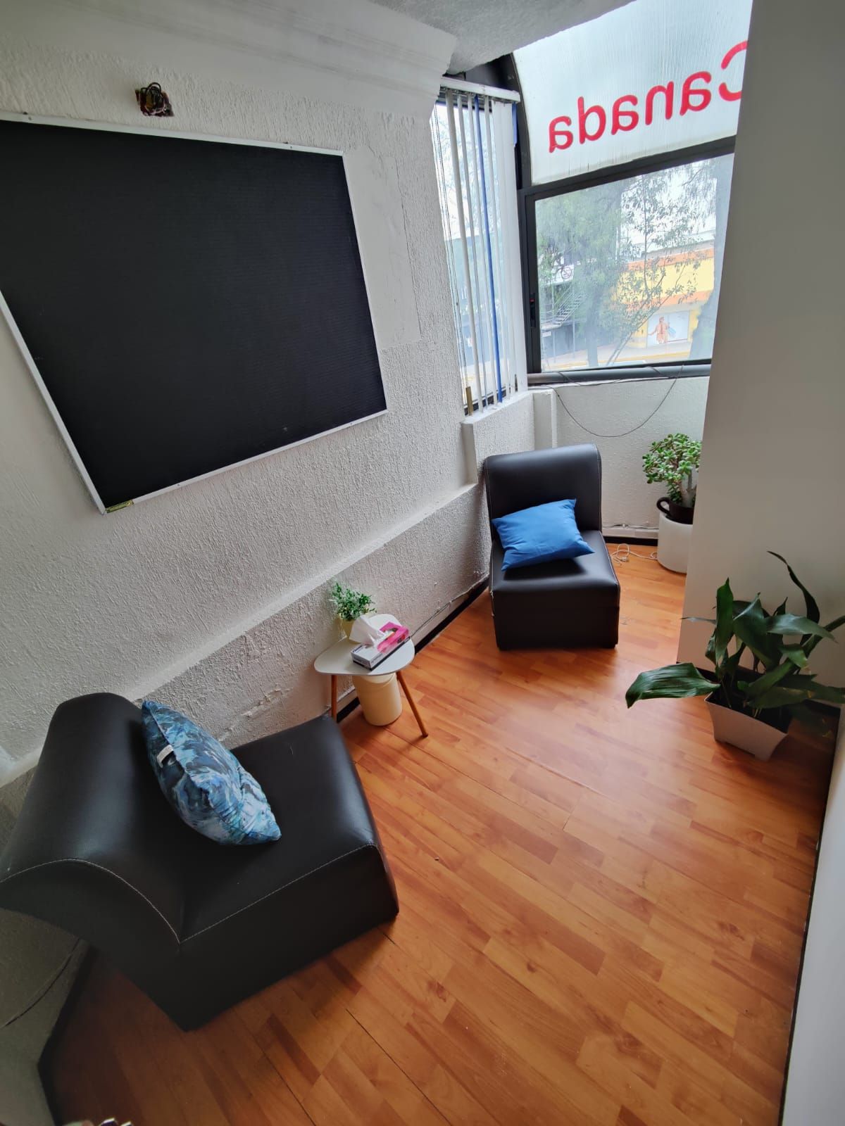 Alejandra Olivares Jasso-6