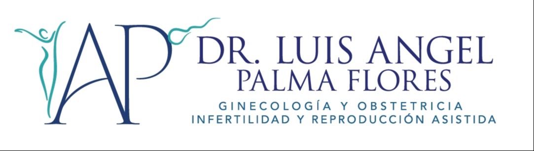 Luis Angel Palma Flores-4