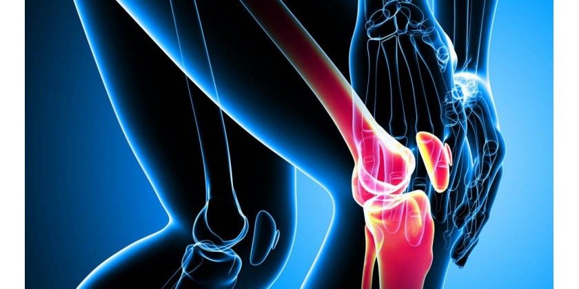 José Antonio Guerrero Jimenez-15