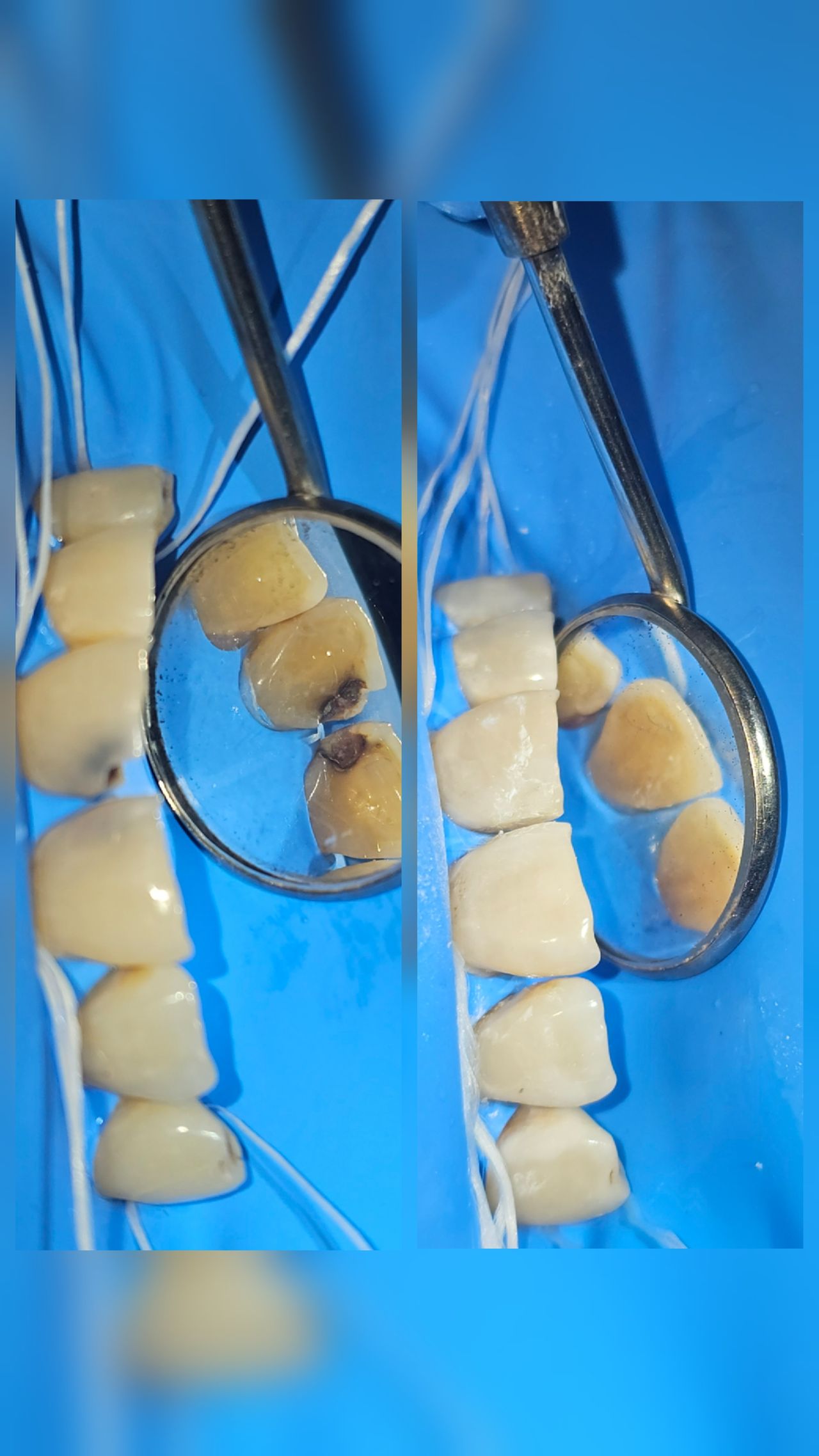 César Armando Hernández Castañeda-4