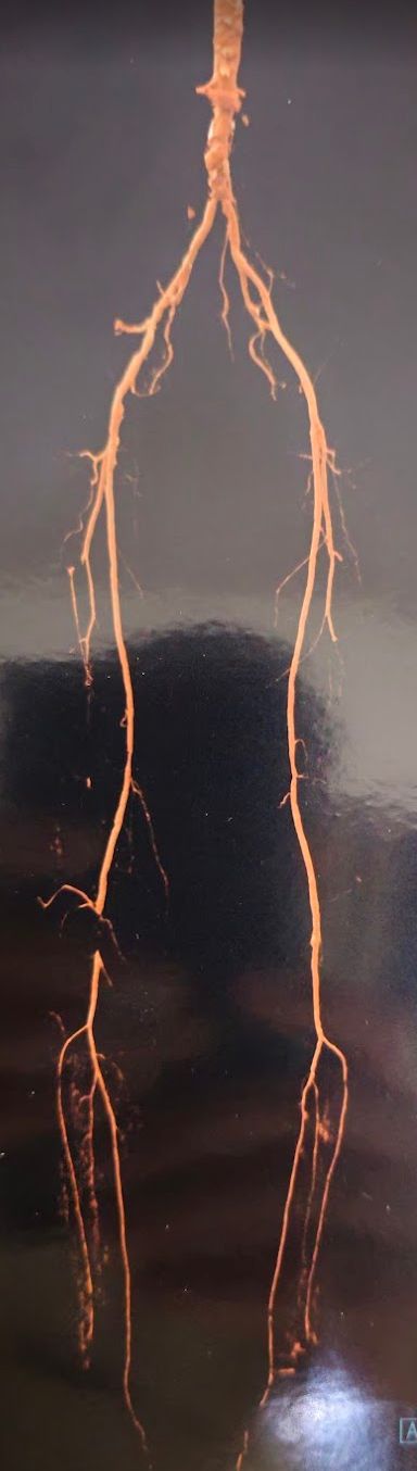 Luis Alberto Garnica León-4