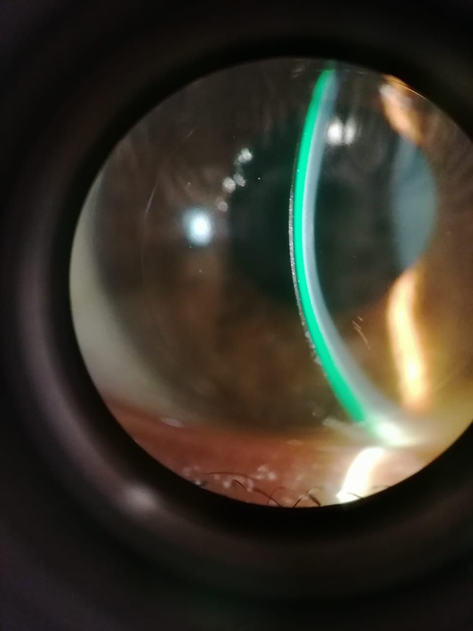 Flor Daniela Guzmán Iturbe-0