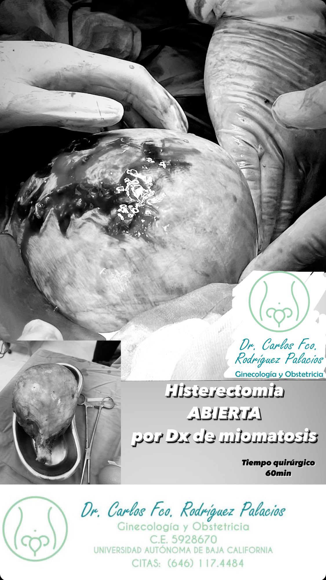 Carlos Francisco Rodríguez Palacios-4