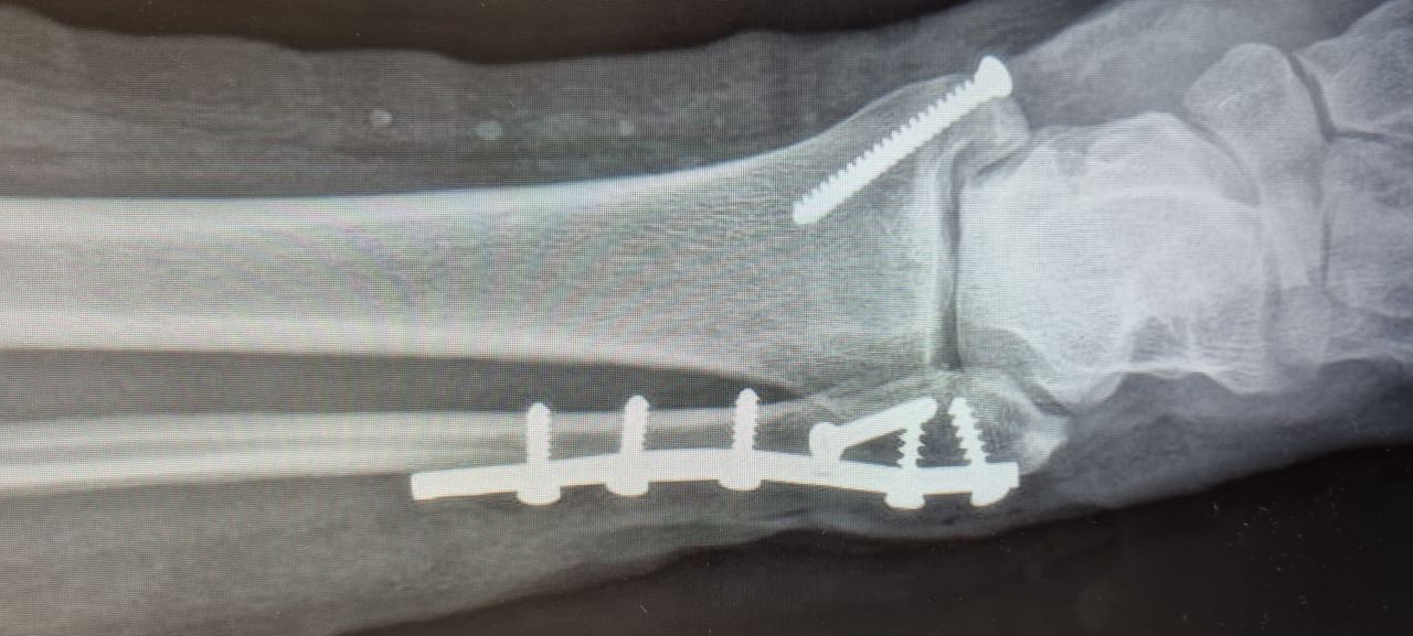 Héctor Omar González Navarro-13