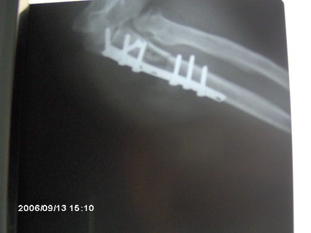 Gustavo Francisco Pérez Cuevas-4