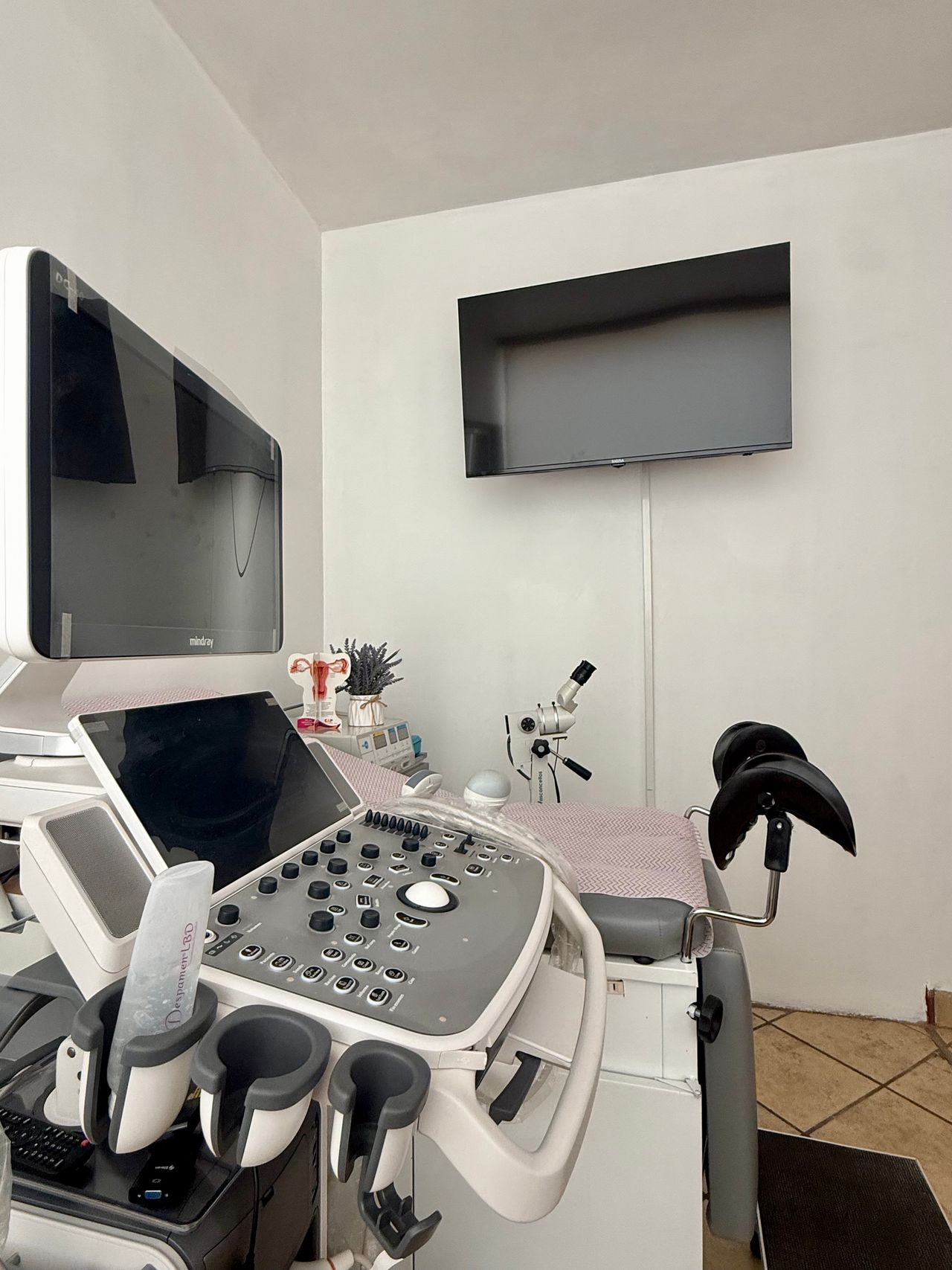 Karla Rodríguez Rodríguez-1