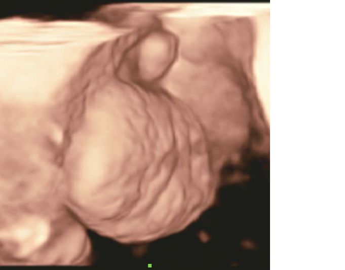 Mario López Franco-2